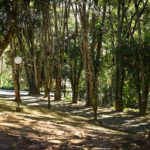 Cozinha Bocha - Clube de Campo Caco Velho - Espírito Santo do Pinhal-SP