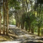 Cozinha Bocha - Clube de Campo Caco Velho - Espírito Santo do Pinhal-SP