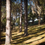 Quiosques - Clube de Campo Caco Velho - Espírito Santo do Pinhal-SP