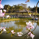 Pedalinho - Clube de Campo Caco Velho - Espírito Santo do Pinhal-SP