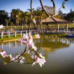 Pedalinho - Clube de Campo Caco Velho - Espírito Santo do Pinhal-SP