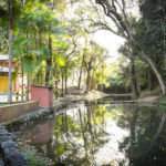 Bosque - Clube de Campo Caco Velho - Espírito Santo do Pinhal-SP