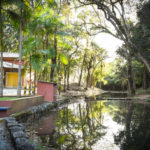 Bosque - Clube de Campo Caco Velho - Espírito Santo do Pinhal-SP