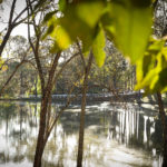 Açudes - Clube de Campo Caco Velho - Espírito Santo do Pinhal-SP