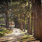 Açudes - Clube de Campo Caco Velho - Espírito Santo do Pinhal-SP