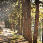 Açudes - Clube de Campo Caco Velho - Espírito Santo do Pinhal-SP