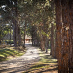 Açudes - Clube de Campo Caco Velho - Espírito Santo do Pinhal-SP