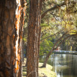 Açudes - Clube de Campo Caco Velho - Espírito Santo do Pinhal-SP