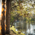 Açudes - Clube de Campo Caco Velho - Espírito Santo do Pinhal-SP