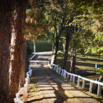 Açudes - Clube de Campo Caco Velho - Espírito Santo do Pinhal-SP